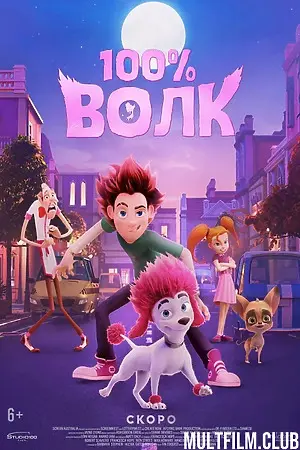 100% Волк
